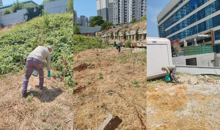 İSTANBUL ESENYURT’TA KEMİRGEN SORUNUNA KARŞI İBB’DEN HIZLI MÜDAHALE