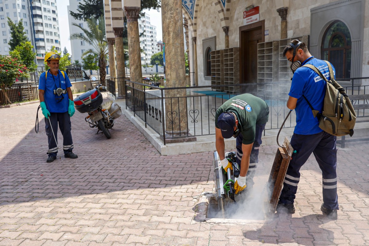 Antalya’da Vektörle Mücadele Hız Kesmiyor