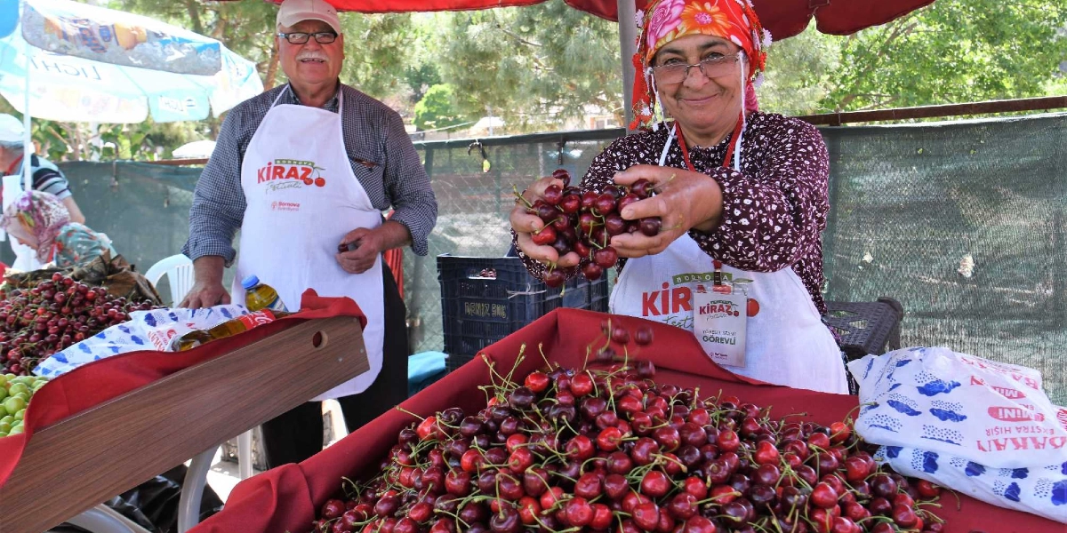 Bornova’da Kıpkırmızı Festival: En Güzel Kirazlar Pazar Günü Podyuma Çıkıyor!