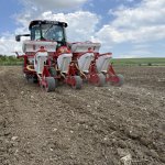 ÇORUM BELEDİYESİNDEN SOSYAL BELEDİYECİLİK ÖRNEĞİ: ATIL ARAZİLER AYÇİÇEĞİYLE HAYAT BULDU