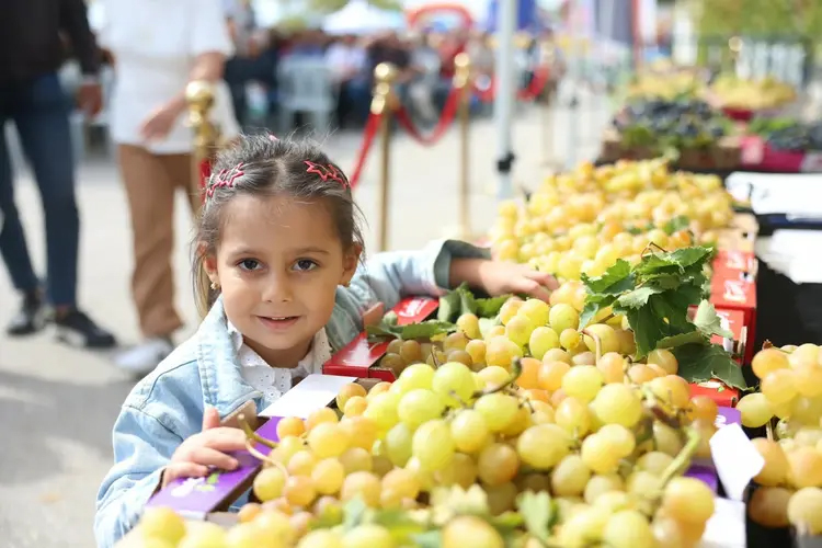Osmangazi’de üzüm bereketi festivalle taçlandı